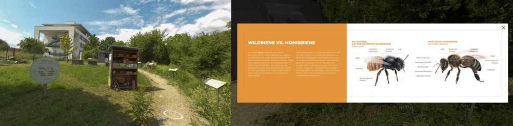 Abbildungen 360TourSchulgarten.jpg