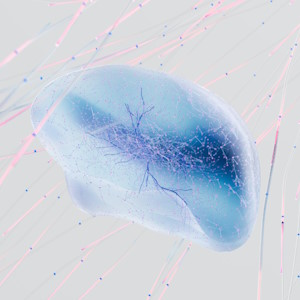 Hauptbild des Beitrags