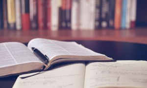 Bücher Zwei offen geschlagene Bücher, im Hintergrund ein volles Bücherregal