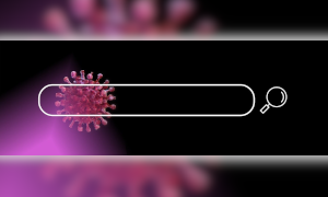 Internetsuche Suchleiste