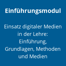 einfuehrungsmodul.png