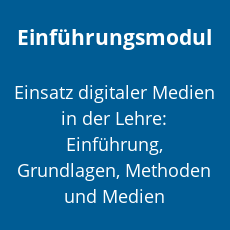 einfuehrungsmodul.png